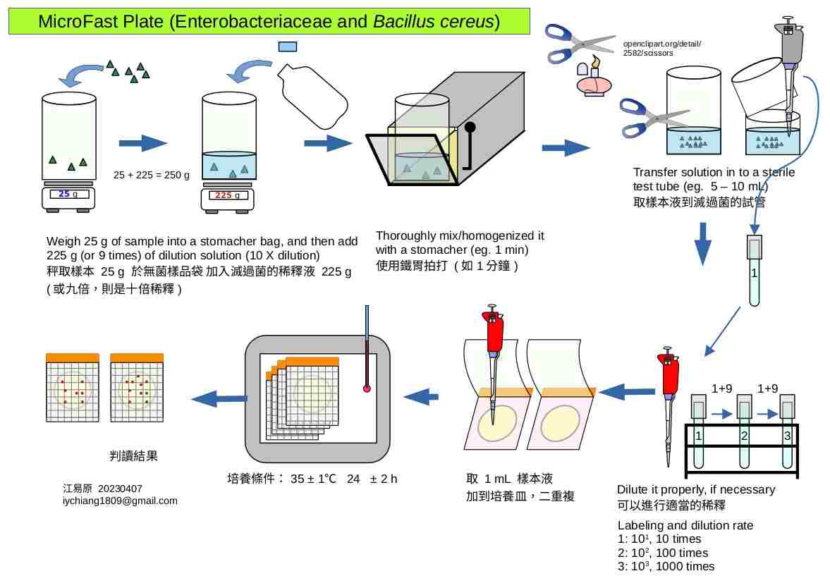 食品微生物檢驗步驟教學分享